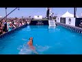 Dog Sports: Dog Diving and Fetch Competition