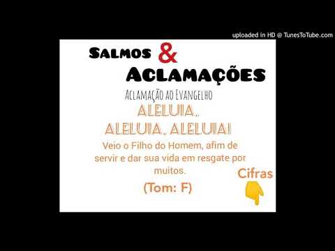ALELUIA - VEIO O FILHO DO HOMEM - Salmos e Aclamações