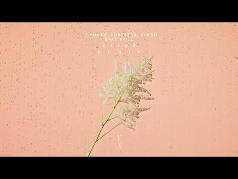 Le Youth, Forester, Lyrah - Stay Still (favor remix)