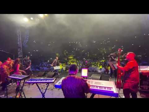 Un Poquito al Revés - Pepito Gomez with Kimbara Orq. // Timbaland 2022