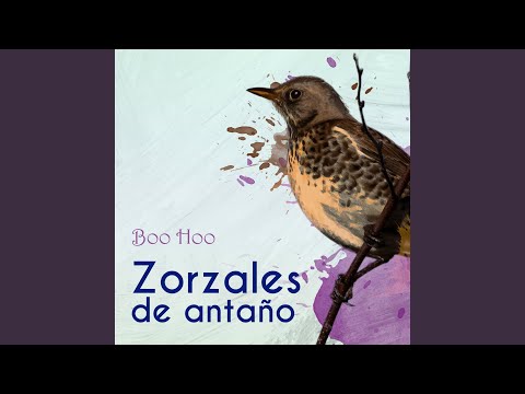 Milonga De Los Fortines