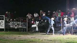 El cuervo rancho bronco de los hermanos carranza