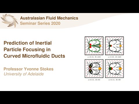 AFMS Webinar 2020 #9 - Professor Yvonne Stokes (University of Adelaide)