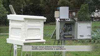 Miniatura do vídeo