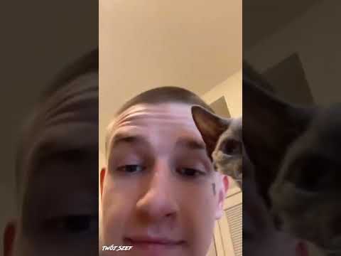 Snippet white widow - lollipop ft. vkie, astrogxral