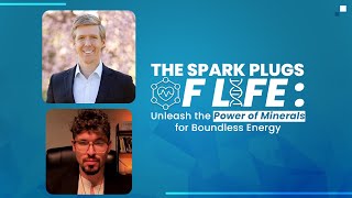 The Spark Plugs of Life: Unleash the Power of Minerals for Boundless Energy