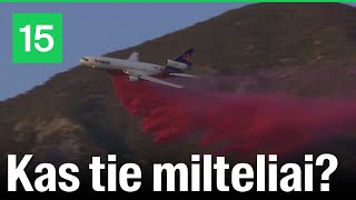 Kas tie rožiniai milteliai, barstomi per Los Andžele siaučiančius gaisrus