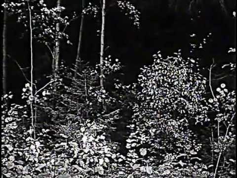 Tarkovsky-THE MIRROR-Tribute-Aging 2 (HQ)