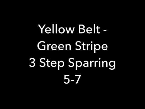 3 Step Sparring 5-7