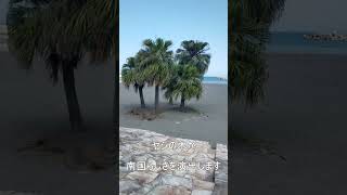 【宮崎】真夏の一ッ葉ビーチを歩いて夏を感じる動画#shorts