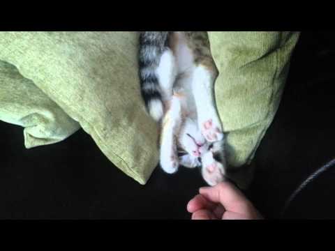 Ivy  in weird sleeping position