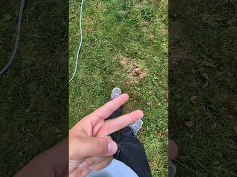 Liebe Grüße Amir Musa und justus