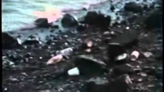 Crying Indian vs Napalm Death (Chaning Colours)