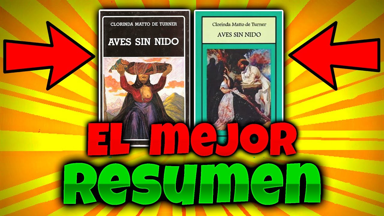 AVES SIN NIDO RESUMEN 🐦 | Análisis y personajes de aves sin nido