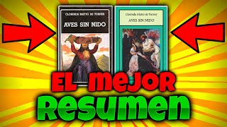 AVES SIN NIDO RESUMEN 🐦 | Análisis y personajes de aves sin nido