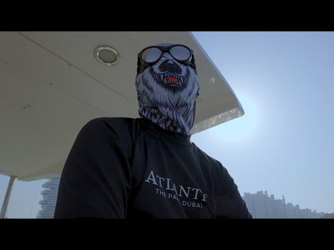Video thumbnail for Pull Up 2.0
