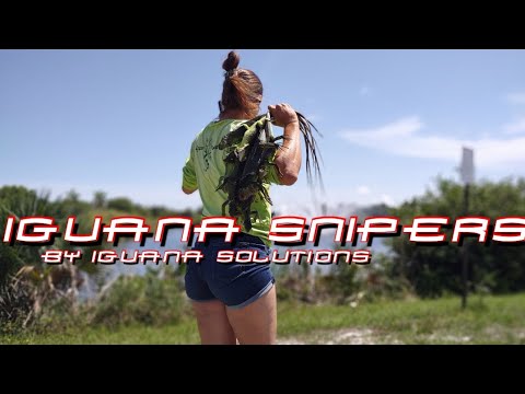 Iguana Snipers #99: Iguana Solutions on a summer hunt for iguanas. Target rich environment