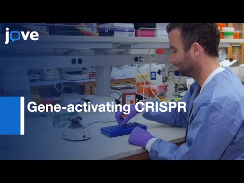 Long Noncoding RNAs Expression Using Gene-activating CRISPR | Protocol Preview