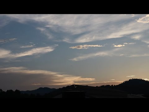 アコースティックライブ2024 オフ動画