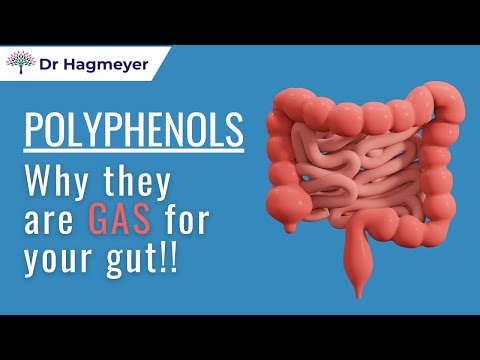 Polyphenols - The Best Kept Secret For Gut Health - Dr. Richard Hagmeyer