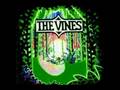 The Vines - Highly Evolved (Track 3) 