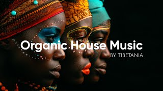 Download lagu Organic House Music | Earth and Afro Beat Rhythms | Mix by Tibetania [2025] mp3