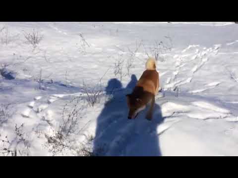 Pin on Healthy Living