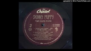 Skinny Puppy - Grave Wisdom