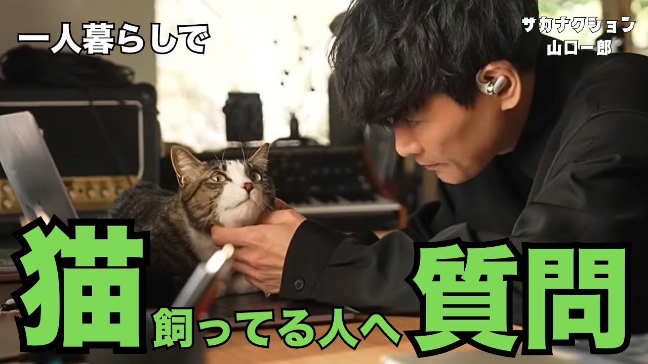 【1〜2泊しても大丈夫？】猫を飼ってる方に質問 / 過去に家事代行を頼んだら... / スターリンくって何？/ 実家のWi-Fi問題【公認】サカナクション山口一郎切り抜きチャンネル #サカナクション