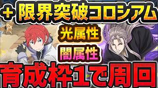 【光属性&闇属性】魔夏の+限界突破コロシアムを育成枠1で周回！最強リーダーの+891を作ろう！【パズドラ】