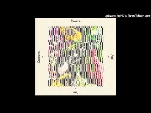 Flowers & Sea Creatures~A.M. [Ewan Pearson Re-Edit]