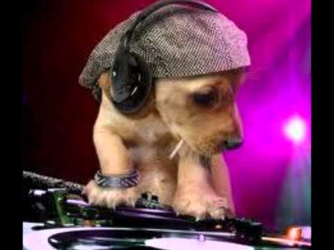 Claudia Cazacu & Vicky Devine   Glamour