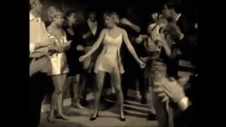 the Insect trust (usa)