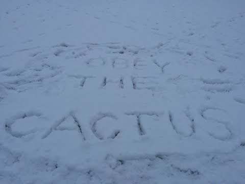 The Snow Plow Show Episode 431 - Underground Apartments