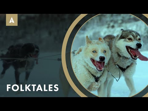 Teens Train Sled Dogs In New Coming Of Age Doc 'Folktales'