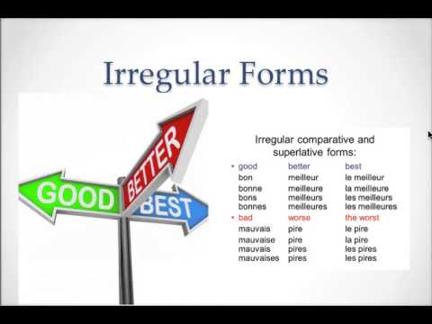 French 2A Unit 3 Live Class Comparative and Superlative Adjectives