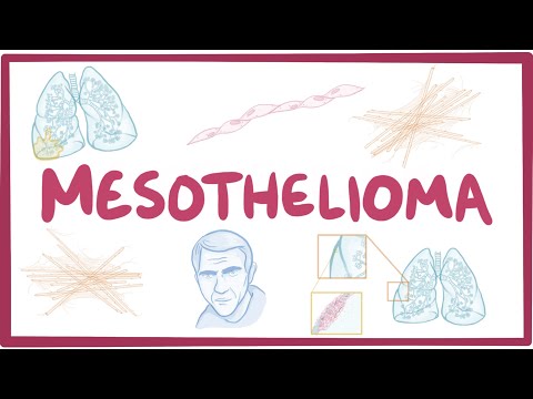 Mesothelium