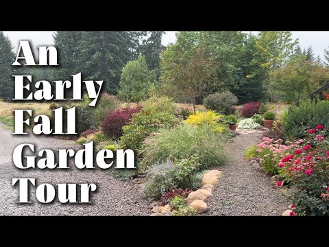 An Early Fall Garden Tour (I’m So Happy With How Things Are Still Looking!) // Zone 8b 