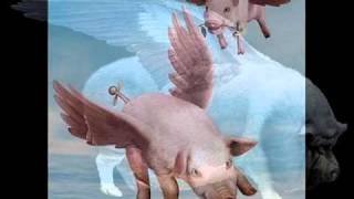 Pigs on the Wing Pt 2