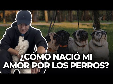 How did dogs change my life? Man's true best friend | Juan Diego Alvira