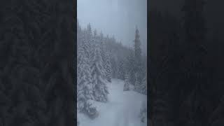 #amazing snow missing you now !#snow #shortsvideo #fyp