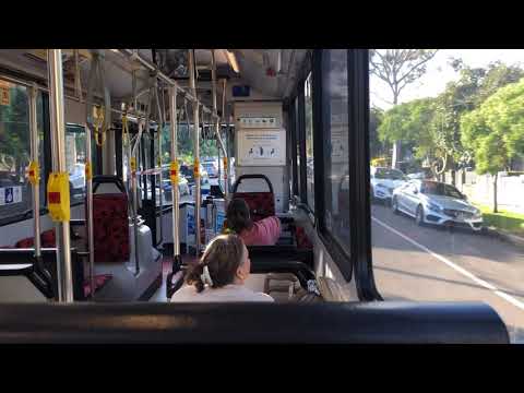 Sydney Buses 1918 ST - Volvo B12BLE Euro 5 (Voith)