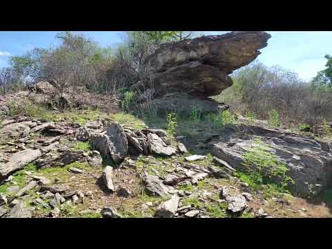 Barragem traíras em Serrita Pernambuco 🙌 água é vida #viraliza #barrage #nordeste 