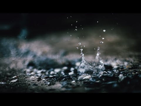 DIALED: Episode #12 - WETTER THAN A MERMAIDS FLANNEL