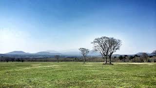 Mark Mancina   Climbing From MoanaScore