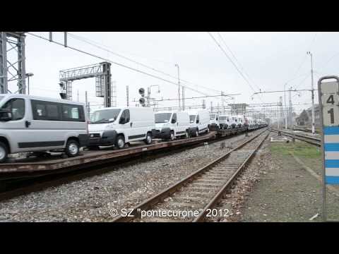 UN CAIMANO PER UN MERCIONE DECISAMENTE BELLO!!!