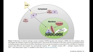 [問題] 版上有巨巨試過SARMS嗎？