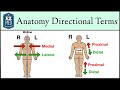 Anatomical Position and Directional Terms [Anatomy MADE EASY]
