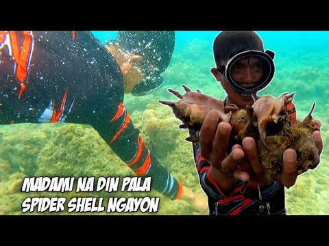Eps271-part1: Nakarami si ALOD ng SPIDER SHELL sa isang spot lang