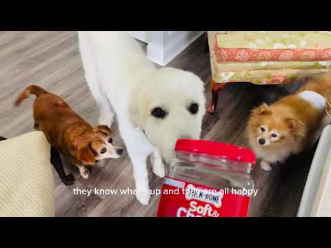 Milk-Bone Soft & Chewy Dog Treats review